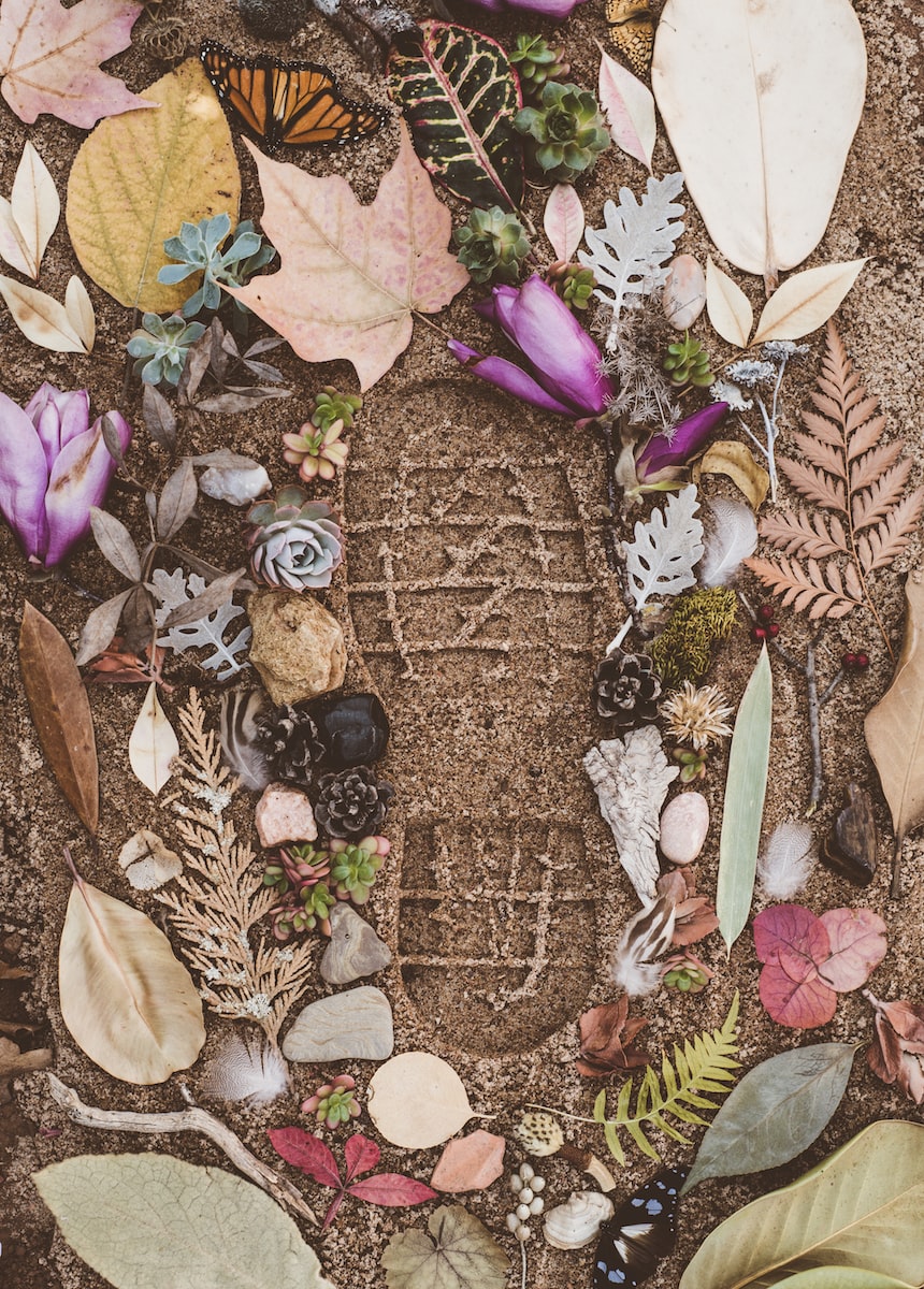 Footprint in the sand surrounded by dead leaves, flowers and stones