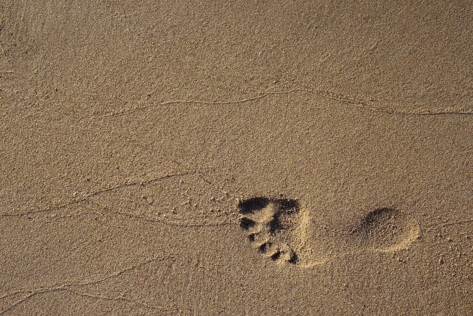 Footprint in the sand