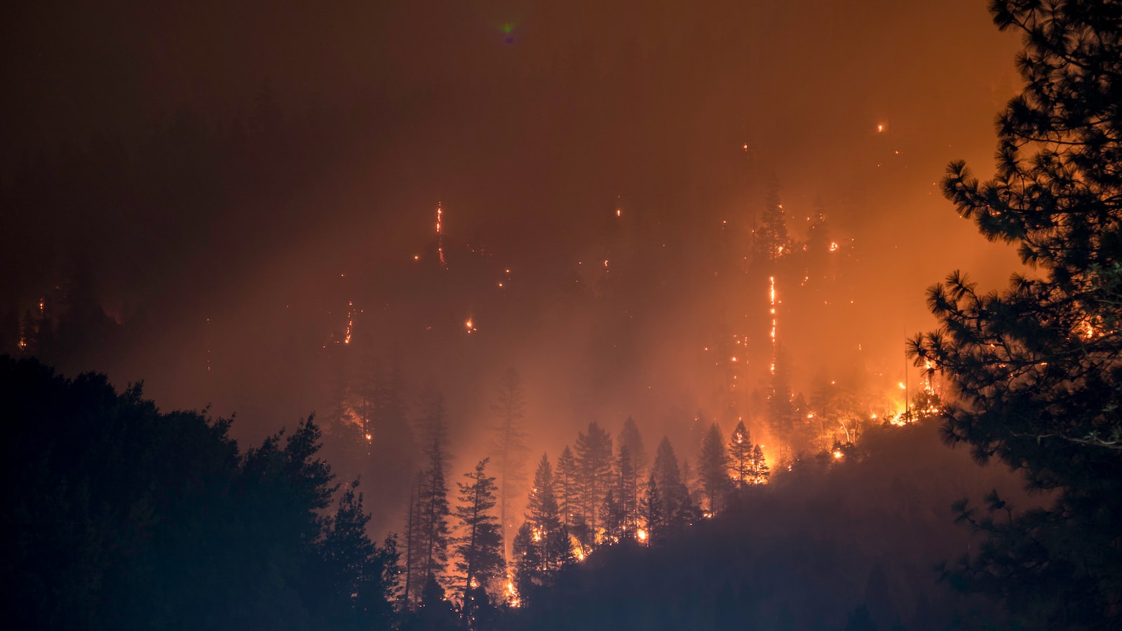 Huge forest fire with orange smoke