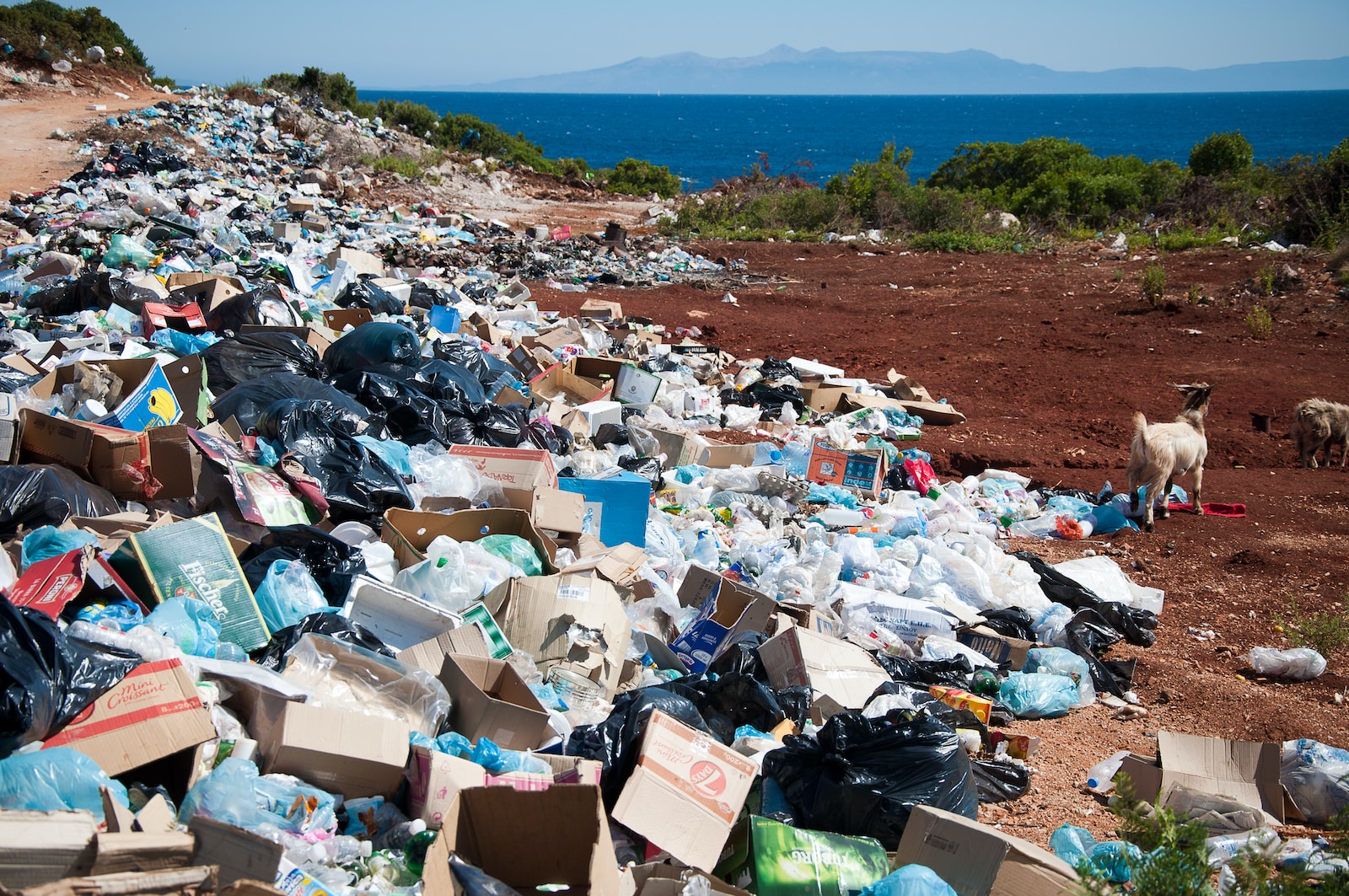 waste on a beach